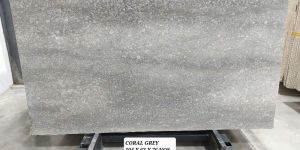 Coral Grey Marble Stone