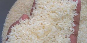 Sona Masoori Rice Steam