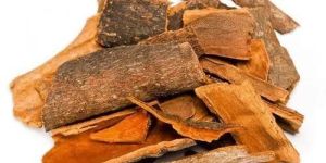 Cinnamon Bark