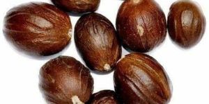 Dried Shelled Nutmeg