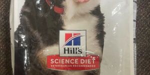 Lamb Meal & Brown Rice Dry Dog Food 33 lb