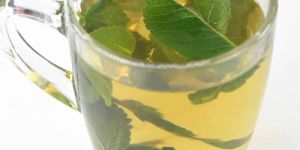 Mint Tea
