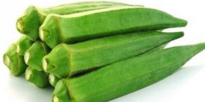 Fresh Okra