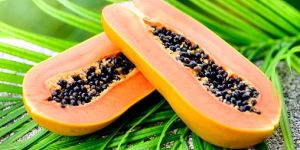 Fresh Papaya