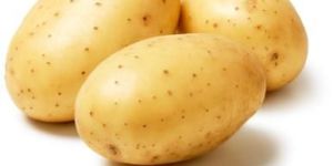 Fresh Potato
