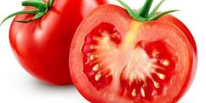 Fresh Tomato