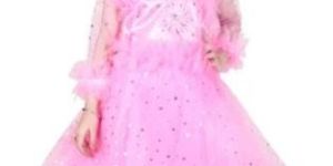 Girl Net Pink Party Wear Frock