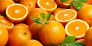 Fresh Orange