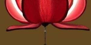 Lotus Hanging Lanterns