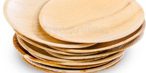 Areca Leaf Plates