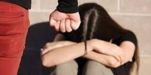 Domestic Violence Case Service