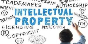 Intellectual Property Right Service