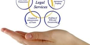 Legal Liaisoning Service