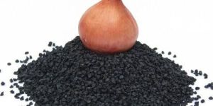 Onion Seeds