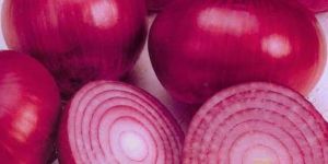 Red Onion