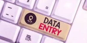 Offline Non Voice Data Entry Process