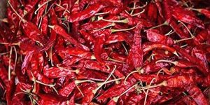 Dry Red Chilli