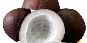Coconut Copra