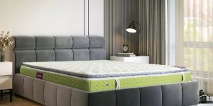 Spine Natura Latex Mattress