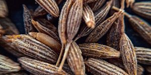 Cumin Seeds