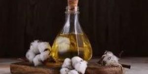Cotton Seed Oil