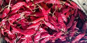 Dry Red Chilli