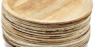 Disposable Wooden Plates