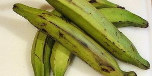 Fresh Plantain