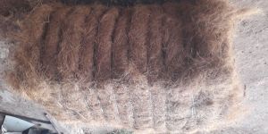 Coir Fibre