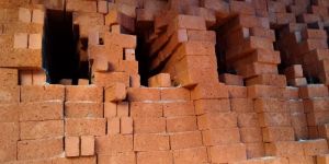 Wire Cut Bricks