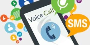 Bulk Voice Call Service