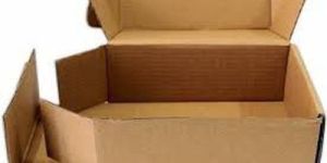 Brown Carton Box