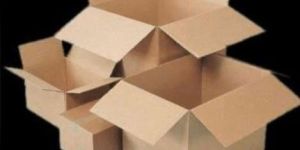 Corrugated Carton