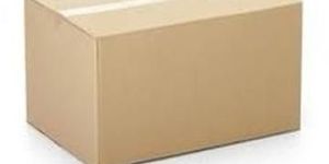 Plain Carton Box