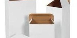 White Carton Box