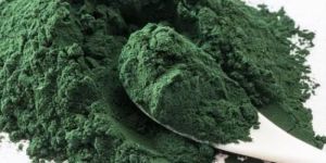 Spirulina Powder