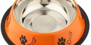 Dog Bowl