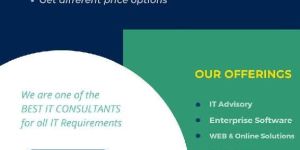 Information Technology Security Service