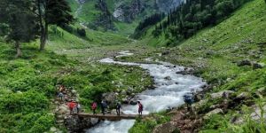 Family Tour Services