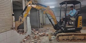 Mini Excavator Rental Based Service