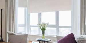 Window Blinds