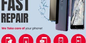 Mobile Phone Battery