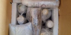 International Courier Services