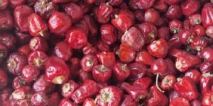 Round Dry Steam Cutting Chillies