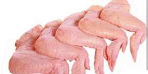 Frozen Chicken Meat