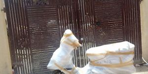 Two Wheeler Transportation Services