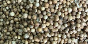 Coriander Seeds