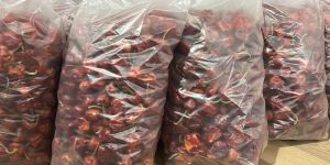 Dried Red Chili