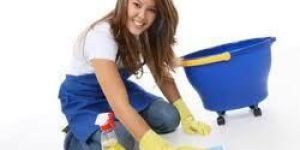 Tile Cleaner
