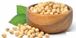Soya Fat Powder 50%